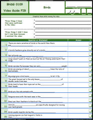 FREE Differentiated Worksheet for the Bill Nye - The Science Guy * - Birds Episode Free Worksheet / Video Guide