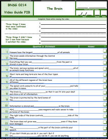 FREE Differentiated Worksheet for the Bill Nye - The Science Guy * - Brain Episode Free Worksheet / Video Guide