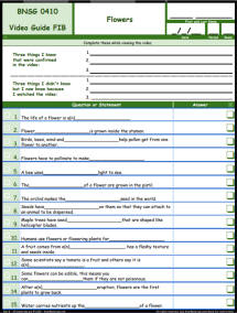 FREE Differentiated Worksheet for the Bill Nye - The Science Guy * - Flowers Episode Free Worksheet / Video Guide