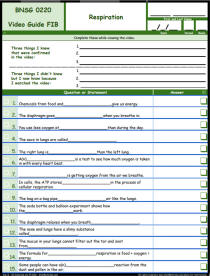 FREE Differentiated Worksheet for the Bill Nye - The Science Guy * - Respiration Episode Free Worksheet / Video Guide