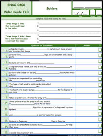 FREE Differentiated Worksheet for the Bill Nye - The Science Guy * - Spiders Episode Free Worksheet / Video Guide