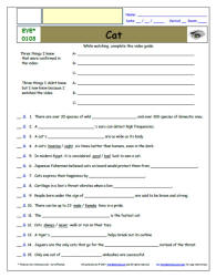 FREE Differentiated Worksheet for EYEWITNESS * - Cat - Episode FREE Differentiated Worksheet / Video Guide