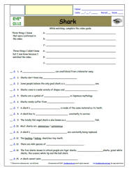 FREE Differentiated Worksheet for EYEWITNESS * - Shark - Episode FREE Differentiated Worksheet / Video Guide